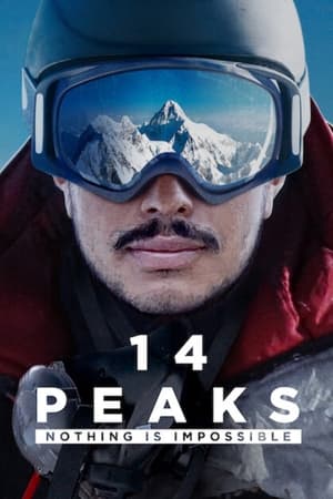14 Peaks: Nothing Is Impossible (2021) Hindi Dual Audio 480p HDRip 350MB