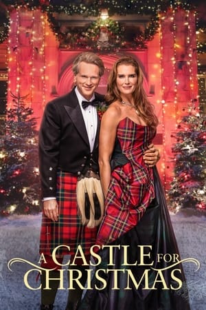 A Castle for Christmas (2021) Hindi Dual Audio 480p HDRip 350MB