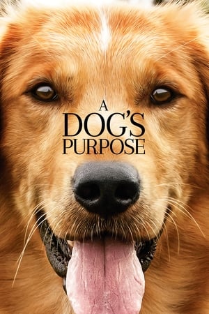 A Dog's Purpose (2017) Full Movie HDCAM 850MB