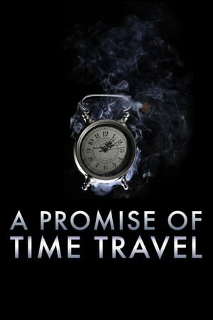 A Promise of Time Travel 2016 Hindi Dual Audio 480p Web-DL 300MB