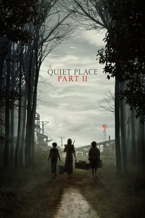A Quiet Place Part II (2021) Hindi Dual Audio 720p HDRip [1.1GB]