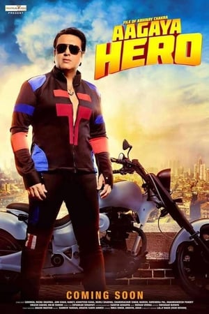 Aa Gaya Hero (2017) Full Movie pDVDRip [700MB] Download