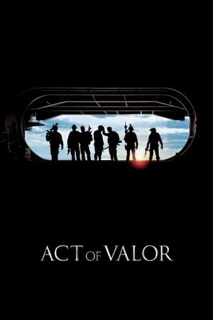 Act of Valor (2012) Hindi Dual Audio 720p BluRay [1.1GB]