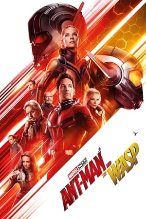 Ant-Man and the Wasp 2018 Movie (English) 720p HDCAM [900MB]