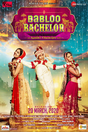 Babloo Bachelor (2021) Hindi Movie HDRip 720p – 480p
