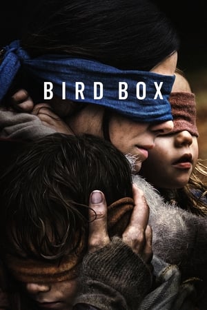Bird Box 2018 Hindi (HQ DUBBED) Dual Audio 720p WehRip [1.1GB]