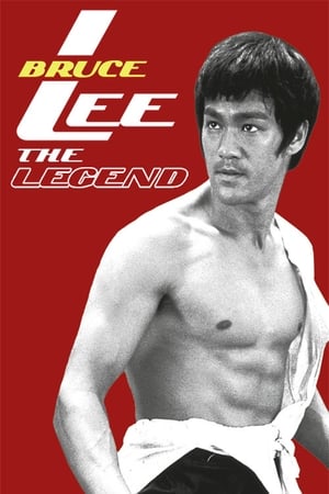 Bruce Lee the Legend 1984 Hindi Dual Audio 480p HDTVRip 300MB