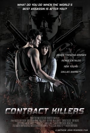 Contract Killers (2014) 100mb Hindi Dual Audio movie Hevc BRRip Download