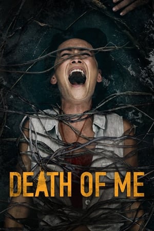 Death of Me (2020) Hindi Dual Audio 720p HDRip [900MB]