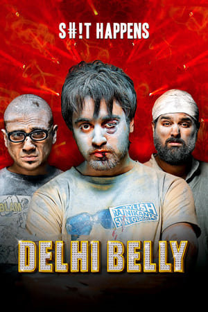 Delhi Belly 2011 Full Movie 480p DVDRip [300MB]