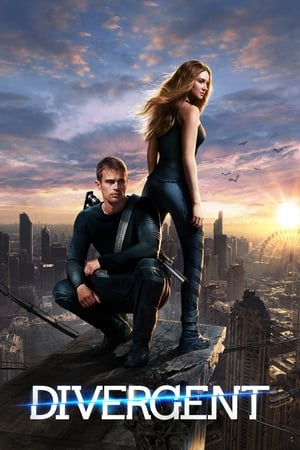 Divergent (2014) 100mb Hindi Dual Audio movie Hevc BRRip Download
