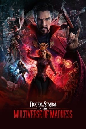 Doctor Strange in the Multiverse of Madness (2022) Hindi (ORG) Dual Audio Web-DL 720p -480p