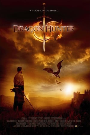 Dragon Hunter (2009) Hindi Dual Audio 480p BluRay 300MB