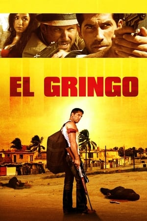 El Gringo (2012) Hindi Dual Audio 480p HDRip 300MB