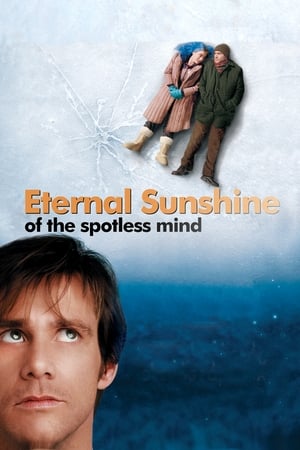 Eternal Sunshine Of The Spotless Mind 2004 Hindi Dual Audio 1080p BluRay [1.8GB]