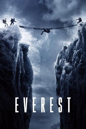 Everest (2015) Hindi Dual Audio 720p BluRay [1.3GB]