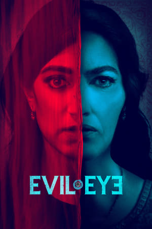 Evil Eye (2020) Hindi Dual Audio 480p HDRip 300MB