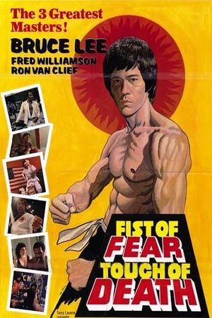 Fist of Fear Touch of Death 1980 Hindi Dual Audio 480p DVDRip 300MB