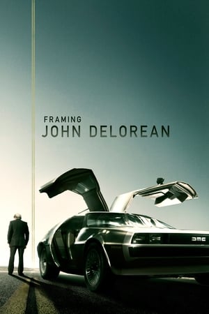 Framing John DeLorean (2019) Hindi Dual Audio 720p BluRay [1GB]