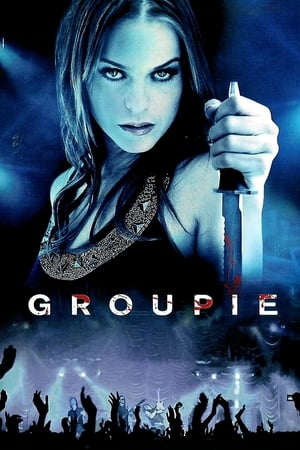 Groupie (2010) Hindi Dual Audio 480p BluRay 300MB