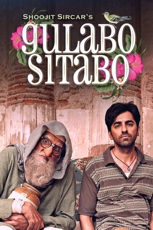 Gulabo Sitabo 2020 Hindi Movie 480p HDRip - [360MB]