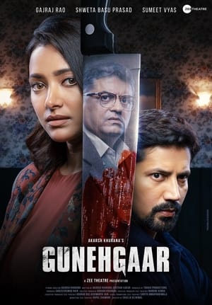 Gunehgaar (2023) Hindi HDRip | 720p | 480p