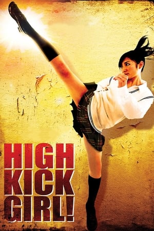 High Kick Girl (2009) 100mb Hindi Dual Audio movie Hevc BRRip Download