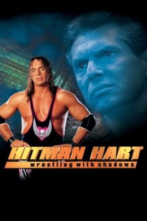 Hitman (1998) Hindi Dual Audio 720p UnCut HDRip [1.1GB]