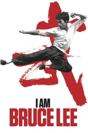I Am Bruce Lee 2012 300MB Hindi Dual Audio Bluray 480p