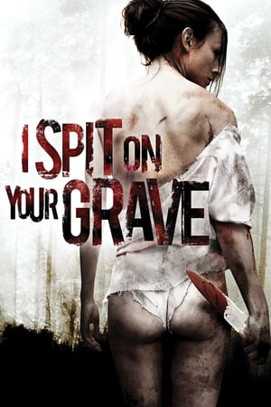 I Spit on Your Grave 2010 Hindi Dual Audio 480p BluRay 330MB