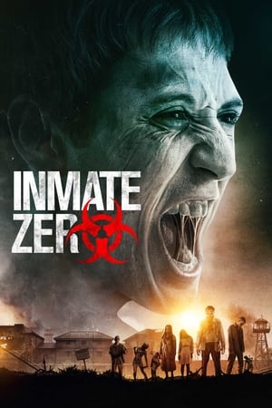 Inmate Zero (2020) Hindi Dual Audio 480p WebRip 330MB