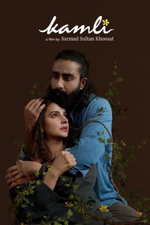 Kamli (2022) Urdu Movie HDCAM 720p – 480p