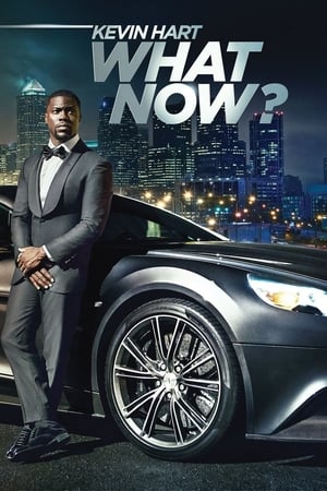 Kevin Hart: What Now? (2016) Full Movie Download [DVDRip] 500MB