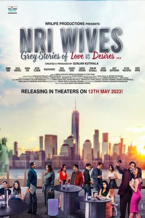NRI Wives 2023 Hindi Pre-DVDRip | 720p | 480p