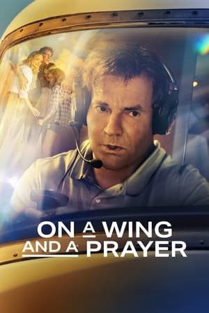 On a Wing and a Prayer 2023 Hindi Dual Audio HDRip 720p – 480p