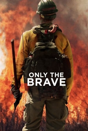 Only the Brave 2017 Hindi Dual Audio HDRip 720p – 480p