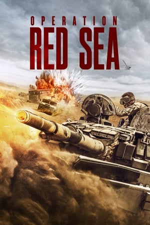 Operation Red Sea (2018) Hindi Dual Audio 480p BluRay 450MB