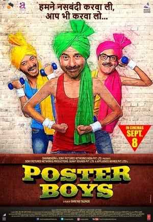 Poster Boys 2017 190mb hindi movie Hevc DVDRip Download