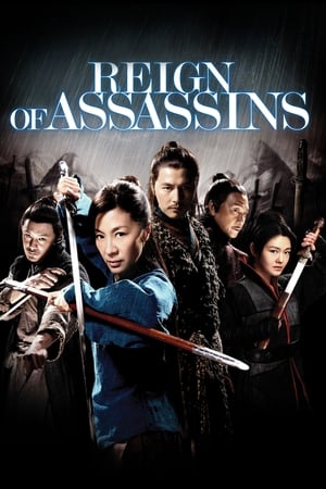 Reign Of Assassins (2010) Hindi Dual Audio 480p BluRay 400MB