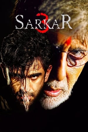 Sarkar 3 (2017) Full Movie HDCAM (Hindi) [700MB] Download