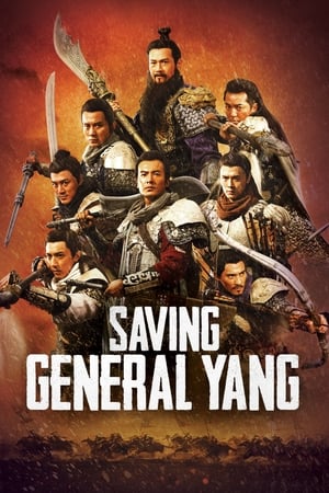 Saving General Yang (2013) Hindi Dual Audio 480p BluRay 350MB