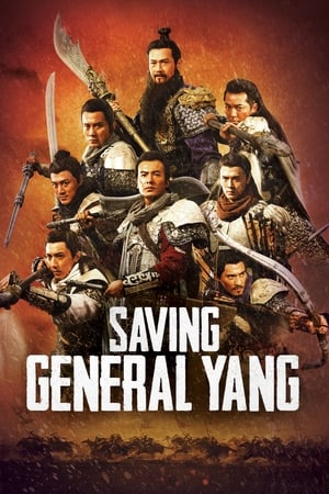 Saving General Yang (2013) Hindi Dual Audio 720p BluRay [900MB]