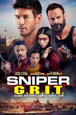 Sniper GRIT Global Response and Intelligence Team 2023 Hindi Dual Audio HDRip 720p – 480p