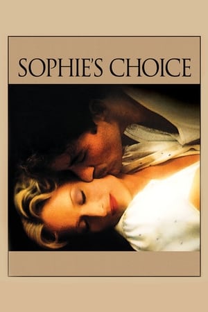 Sophie's Choice (1982) Dual Audio Hindi Full Movie 720p BluRay - 1.1GB