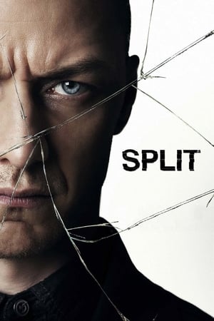 Split (2016) Movie HC HDRip 720p [900MB] Download