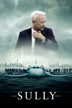 Sully (2016) Hindi (Unofficial Dubbed) Dual Audio BluRay [480p] [720p]