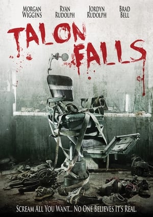 Talon Falls (2017) Hindi Dual Audio 480p BluRay 300MB