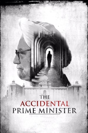The Accidental Prime Minister (2019) Hindi Movie 480p HDRip - [400MB]
