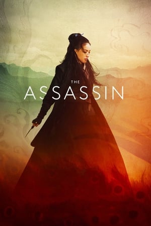 The Assassin 2015 Hindi Dual Audio 480p BluRay 300MB