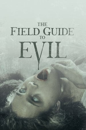 The Field Guide to Evil 2018 Hindi Dual Audio 480p BluRay 350MB
